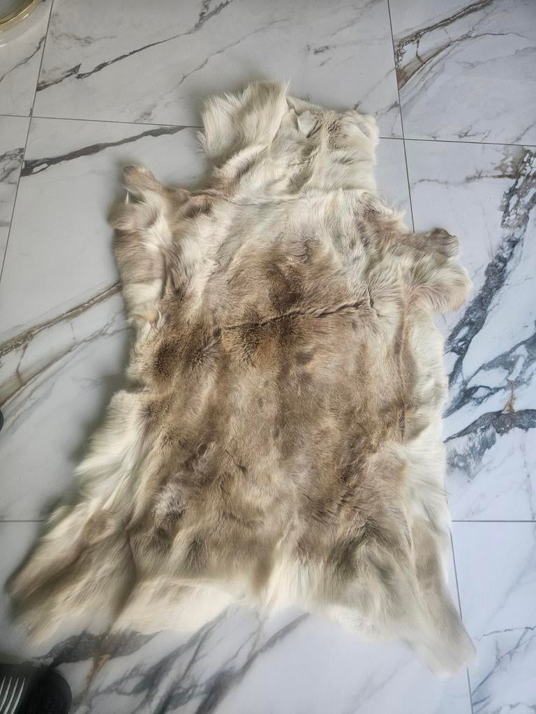 Natuurlijke geitenhuid - hertenhuid kleed, Gebruikt, Rustiek, Landelijk, Natuurlijk, Overige vormen, 50 tot 100 cm