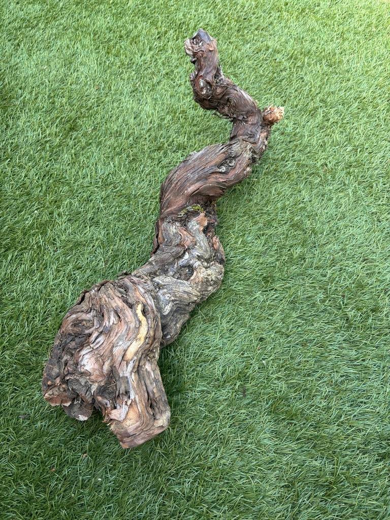 Druivenstronk tak van zo’n 55 cm, Ophalen of Verzenden, Gebruikt, Bruin, Hout