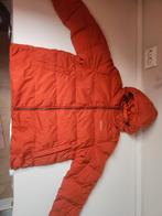 Ayacucho Dames Jas Maat L Oranje, Maat 42/44 (L), Oranje, Ophalen of Verzenden, Ayacucho