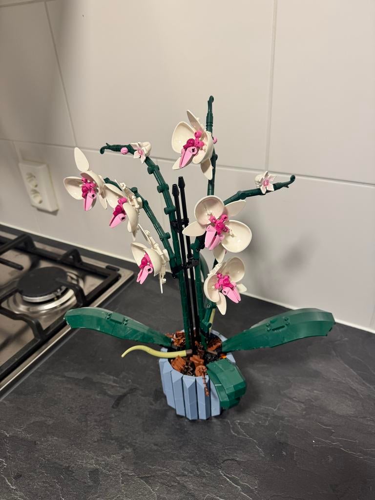 LEGO Orchidee - Botanische Collectie, Ophalen of Verzenden, Zo goed als nieuw, Jongen of Meisje