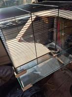 Hamsterkooi, Dieren en Toebehoren, Knaagdieren en Konijnen | Hokken en Kooien, Ophalen, Kooi, 60 tot 90 cm, Minder dan 75 cm
