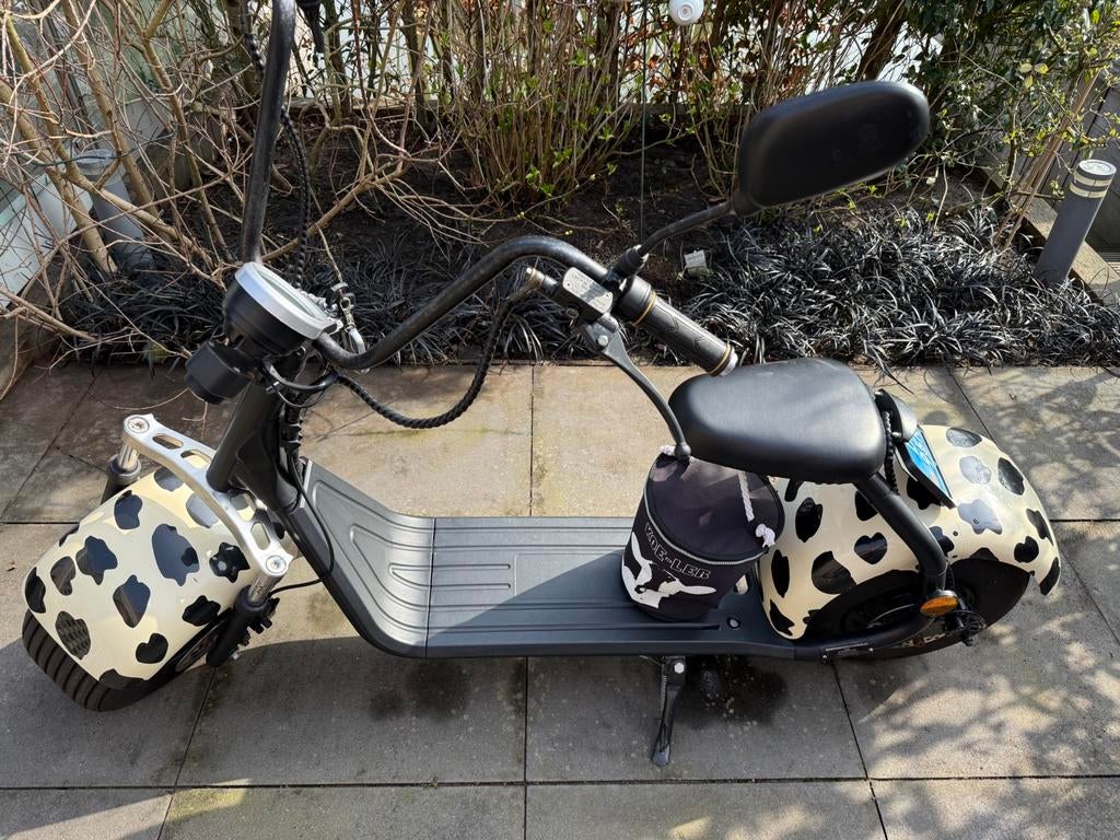 Electrische chopper IGOO citycoco s 10, Overige merken, Elektrisch, Ophalen of Verzenden, Zo goed als nieuw