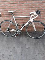 Focus racefiets(carbon), Gebruikt, Heren, 15 tot 20 versnellingen, 57 tot 61 cm