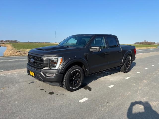 Ford F150 F150 3.5 eco Boost Lpg PLATINUM Marge Btw/Bpm vrij, Auto's, Ford Usa, Bedrijf, Te koop, F-150, 4x4, ABS, Airbags, Airconditioning