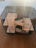 Hamsterkooi, Minder dan 60 cm, Kooi, Minder dan 75 cm, Ophalen of Verzenden