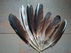 Partij veren ,rui veren knutselen,smudge, Gebruikt, Materiaal, Ophalen of Verzenden, Nvt