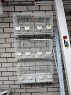 8x italiaanse broedkooien draadkooien, Dieren en Toebehoren, Ophalen, Hout, Broedkooi of Kweekkooi