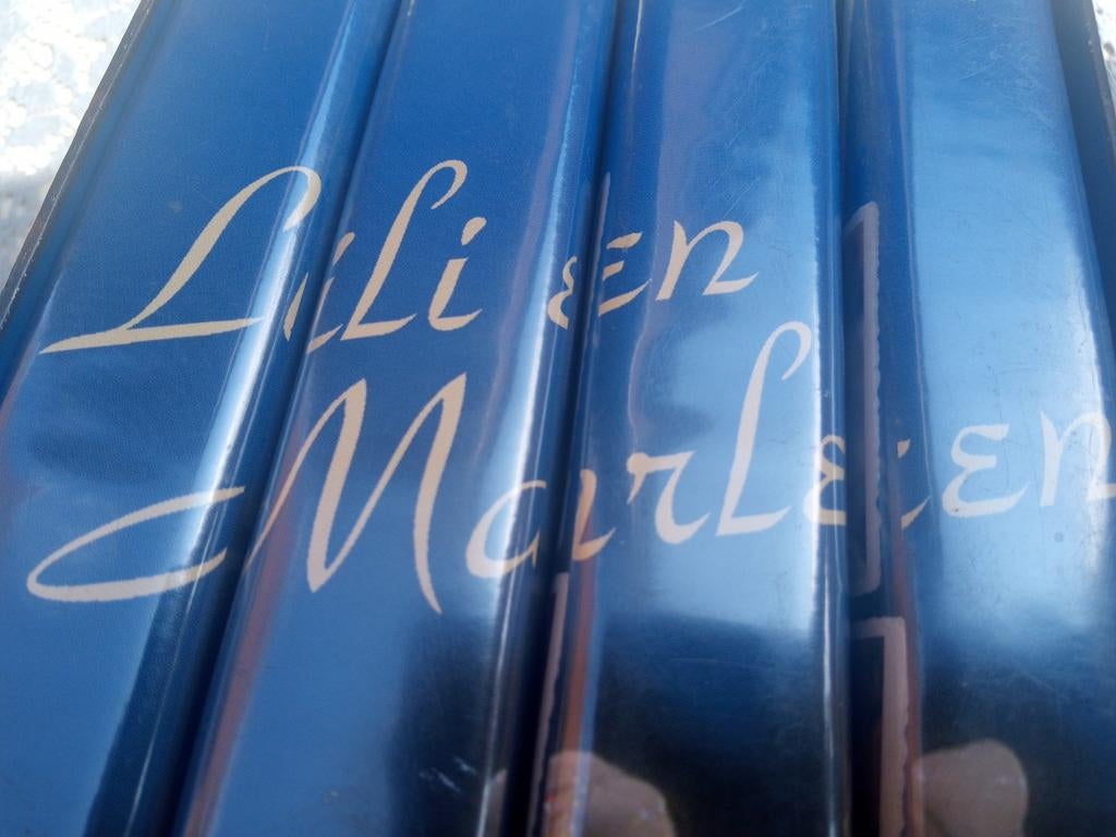 VHS Lili & Marleen Vlaamse reeks, géén ondertiteling., Cd's en Dvd's, Vanaf 16 jaar, Ophalen of Verzenden, Zo goed als nieuw