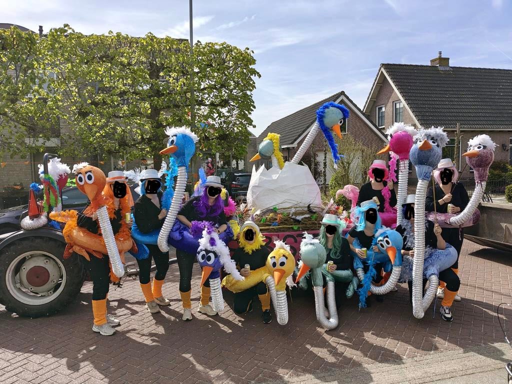Loopgroep vogels carnaval 10 personen, Ophalen, Carnaval, Maat 46/48 (XL) of groter, Accessoires