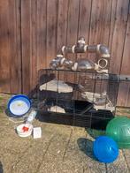 Hamsterkooi en accessoires, Dieren en Toebehoren, Kooi, Gebruikt, Minder dan 75 cm, Hamster