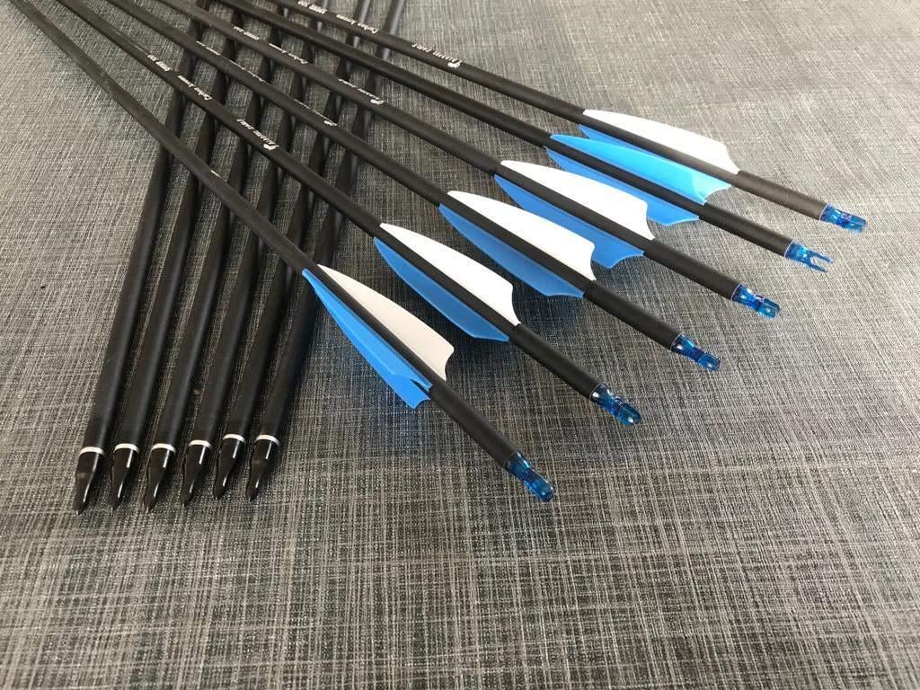 Pijlen voor boog (Met vervangbare punt) 12 stuks, Sport en Fitness, Handboogschieten, Ophalen of Verzenden, Nieuw, Pijlen