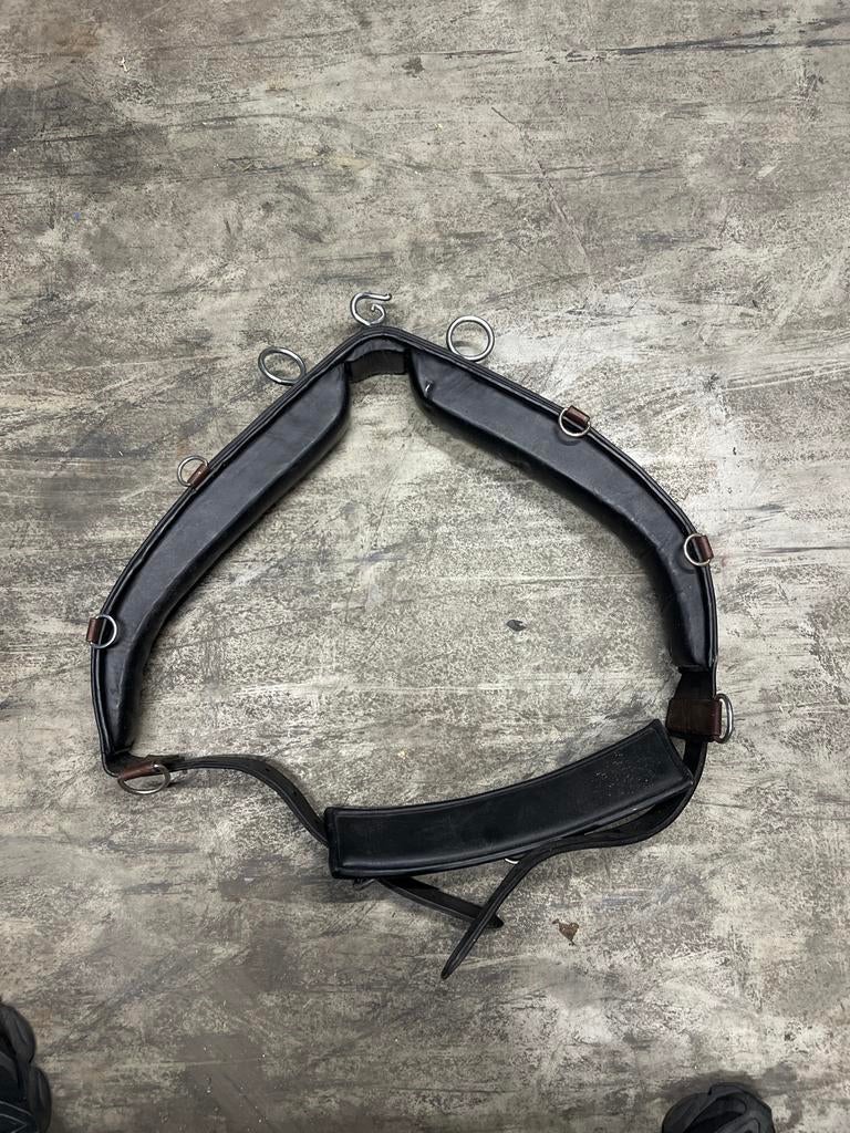 Paarden longeerhulp, Dieren en Toebehoren, Paarden en Pony's | Hoofdstellen en Tuigage, Ophalen, Overige soorten