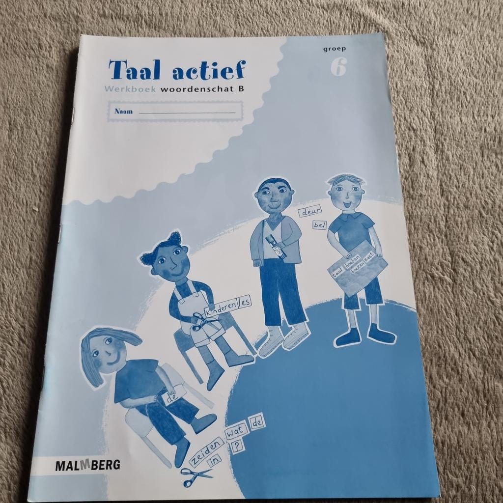 Taal actief Werkboek woordenschat B groep 6, Boeken, Ophalen of Verzenden, Nieuw, Malmberg