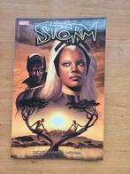 Marvel Storm comic, Boeken, Strips | Comics, Ophalen of Verzenden