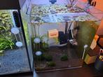Kweek aquarium compleet denerle, Dieren en Toebehoren, Vissen | Aquaria en Toebehoren, Ophalen of Verzenden