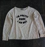 Sweater - trui, maat L, grijs gemêleerd met tekst., Maat 42/44 (L), Ophalen of Verzenden, Zo goed als nieuw, Grijs