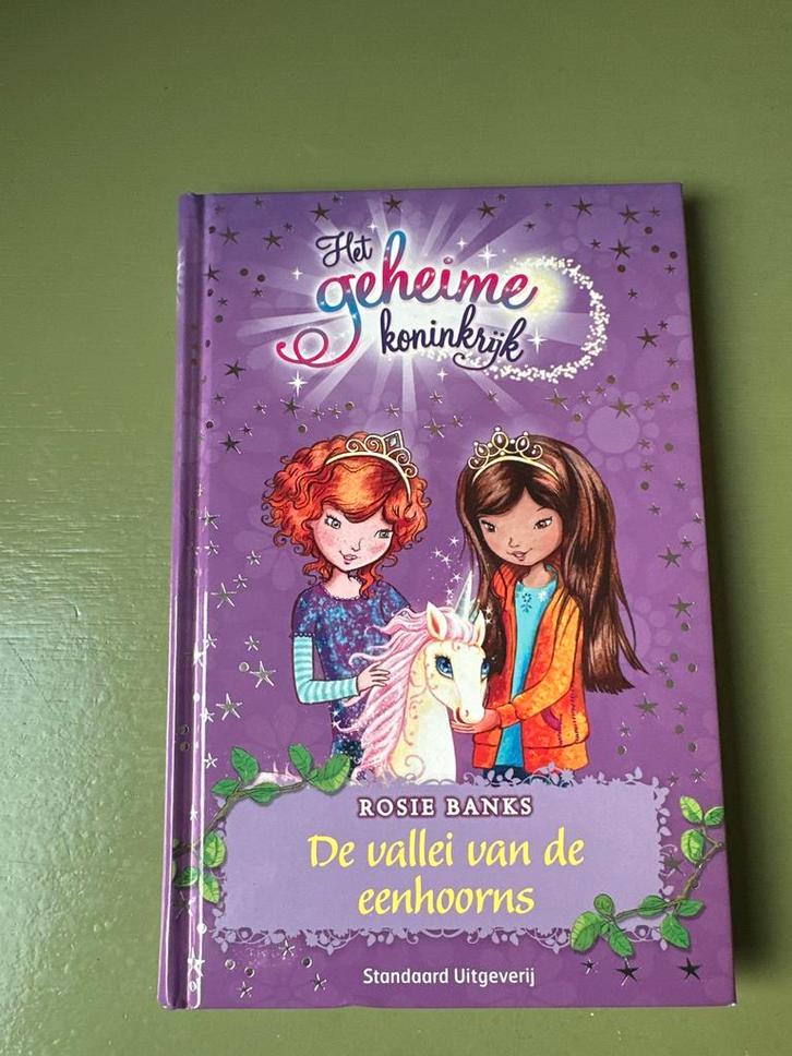 Het geheime koninkrijk: De vallei van de eenhoorns, Boeken, Kinderboeken | Jeugd | onder 10 jaar, Zo goed als nieuw, Sprookjes