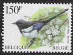 Belgie 1997 - Yvert 2696 - Buzin - Ekster (PF), Postzegels en Munten, Ophalen, Voertuigen, Postfris