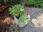 Prachtige plantenbak (steen/beton) te koop 60cm h, 60 cm d, Tuin en Terras, Overige Tuin en Terras, Ophalen, Zo goed als nieuw