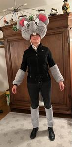 Carnavalspak Muis - Compleet!, Carnaval, Zo goed als nieuw, Kleding, Ophalen