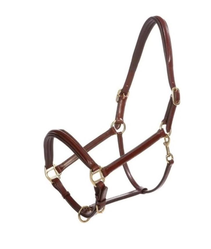 Lederen halster, Dieren en Toebehoren, Paarden en Pony's | Hoofdstellen en Tuigage, Nieuw, Overige soorten, Ophalen of Verzenden