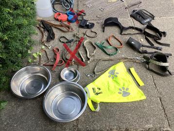 Veel honden-kattenriemen/tuigjes/manden/kraag/etensbak enz beschikbaar voor biedingen