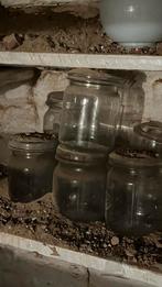 Diverse weckglazen - vintage, Ophalen of Verzenden, Gebruikt