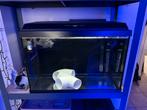 Aquarium met diverse, Dieren en Toebehoren, Ophalen, Zo goed als nieuw, Leeg aquarium
