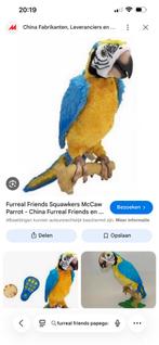 Gezocht fureal friends papagaai, Ophalen, Overige typen