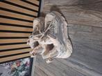 Buffallo dames schoenen maat 40 teddy, Ophalen, Zo goed als nieuw, Zwart, Sneakers of Gympen