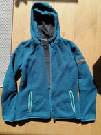 Dames vest, moet gerepareerd, Blauw, Maat 42/44 (L), Ophalen of Verzenden, Gedragen