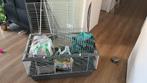 Konijnenhok met benodigdheden, Ophalen, 90 cm of meer, Hok, Hamster