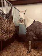 Weidemaatje, grondwerk paard aangeboden, Dieren en Toebehoren, Januari, Vrouwelijk