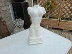 mooie gaaf grotere torso beeld van dame /vrouw, Ophalen of Verzenden, Zo goed als nieuw, Mens