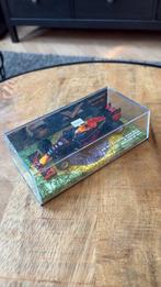 Red Bull Racing RB12 Brazilië GP - Max Verstappen 1:43, Hobby en Vrije tijd, Modelauto's | 1:43, Ophalen of Verzenden, Nieuw, Auto
