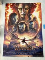 AVATAR   FILMPOSTER  - AFFICHE   70-100 cm, Ophalen of Verzenden, Zo goed als nieuw, Boek of Poster