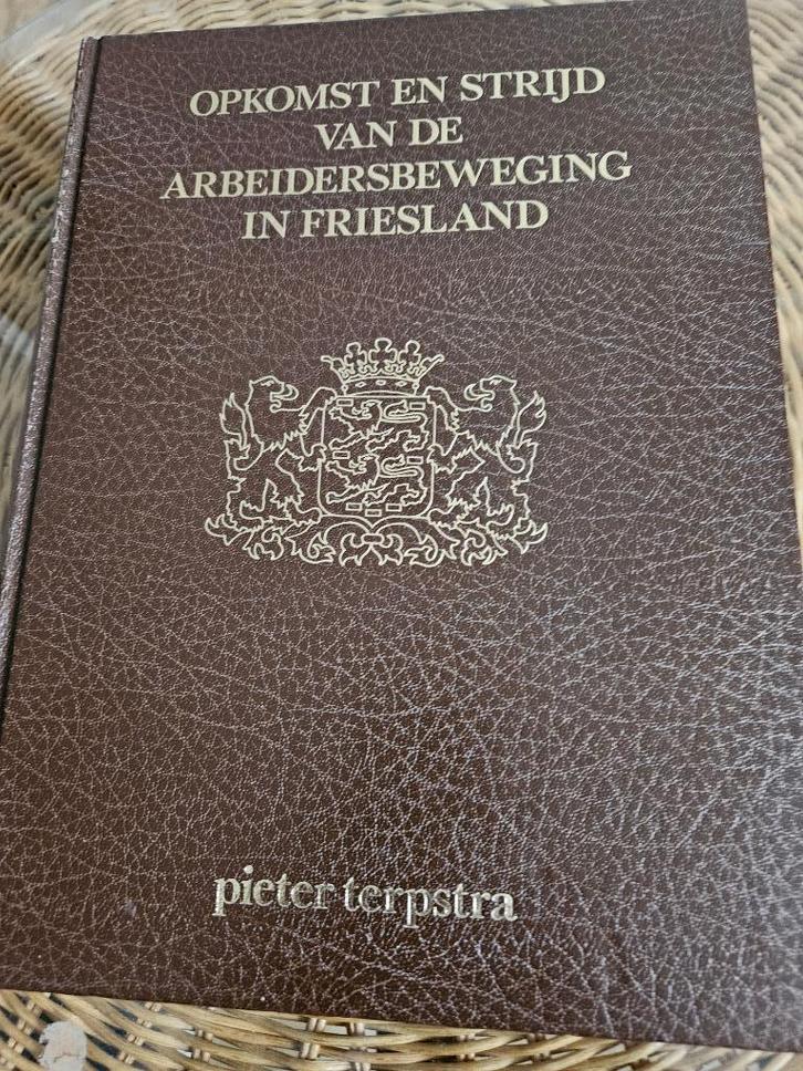 Opkomst en strijd van de arbeidersbeweging in Friesland, Boeken, Geschiedenis | Stad en Regio, Ophalen of Verzenden