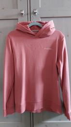 Raizzed Hoodie Maat 164 ZGAN, Kinderen en Baby's, Kinderkleding | Maat 164, Trui of Vest, Ophalen of Verzenden, Zo goed als nieuw