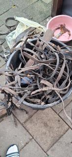 Paardenspullen, Dieren en Toebehoren, Ophalen, Gebruikt, Overige soorten