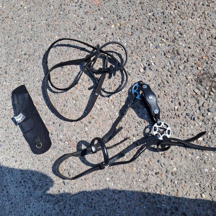 Hackermore hoofdstel staartbeschermer teugel rondgenaaid, Dieren en Toebehoren, Paarden en Pony's | Hoofdstellen en Tuigage, Zo goed als nieuw