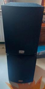 PA set - 2x DAP PRO mc-10 inclusief versterker, bekabeling, Ophalen, Zo goed als nieuw, 120 watt of meer, Overige merken