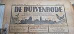 Gezocht oude duiven kranten tijdschriften duivensport, Ophalen of Verzenden, Gelezen