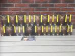 Bach edition - verzamel set - 23 delen - 160 CD’s, Cd's en Dvd's, Cd's | Klassiek, Boxset, Overige typen, Ophalen of Verzenden