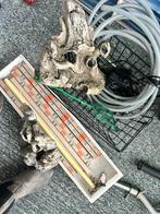 Aquarium spulletjes, Ophalen of Verzenden, Leeg aquarium