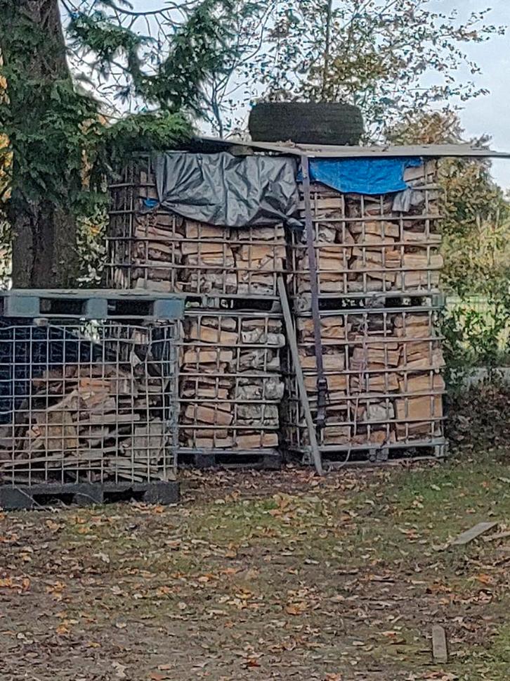 Droog Beukenhout in krat - Klaar voor gebruik!, Tuin en Terras, Haardhout, Blokken, Beukenhout, Minder dan 3 m³, Ophalen of Verzenden