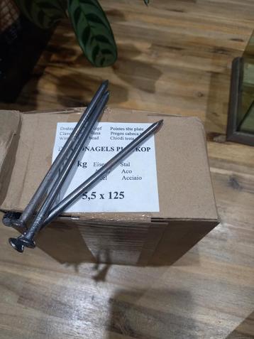 spijkers nagels 5.5x125 mm dikke spijker jonge beschikbaar voor biedingen
