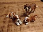 Schleich St Bernardshond familie, Ophalen of Verzenden, Zo goed als nieuw, Paard, Beeldje of Figuurtje
