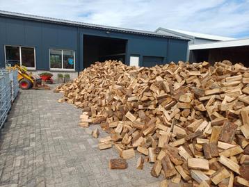 Droog eikenhout  beschikbaar voor biedingen