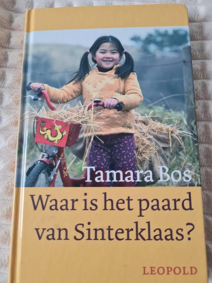 Waar is het paard van Sinterklaas?, Diversen, Sinterklaas, Ophalen of Verzenden