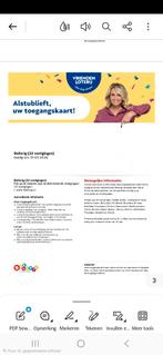 1 toegangskaart Ballorig, Eén persoon, Ticket of Toegangskaart